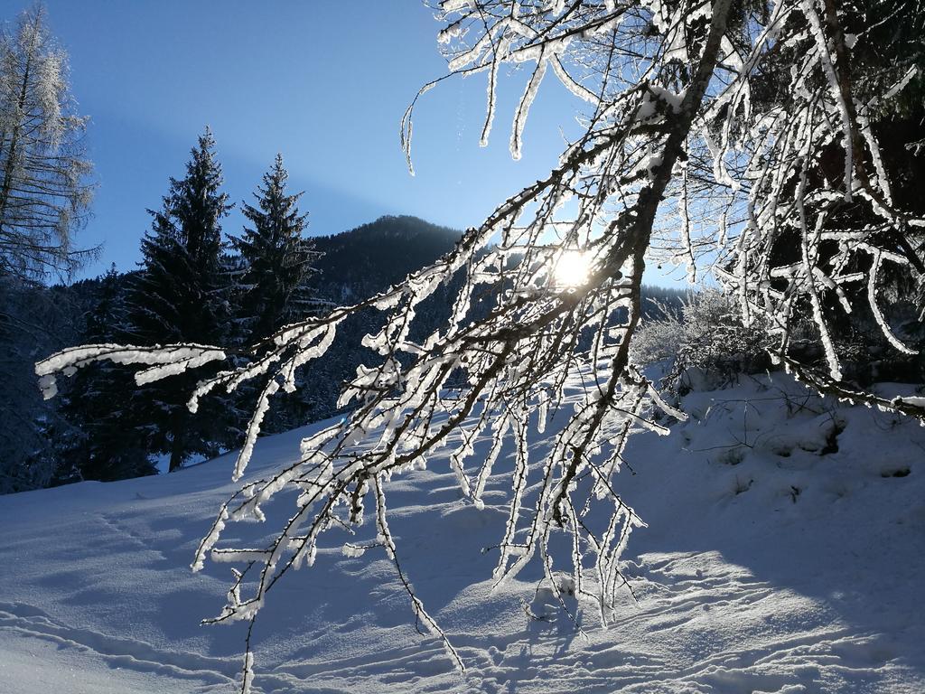 Chalet Glockenhof Walchsee Luaran gambar